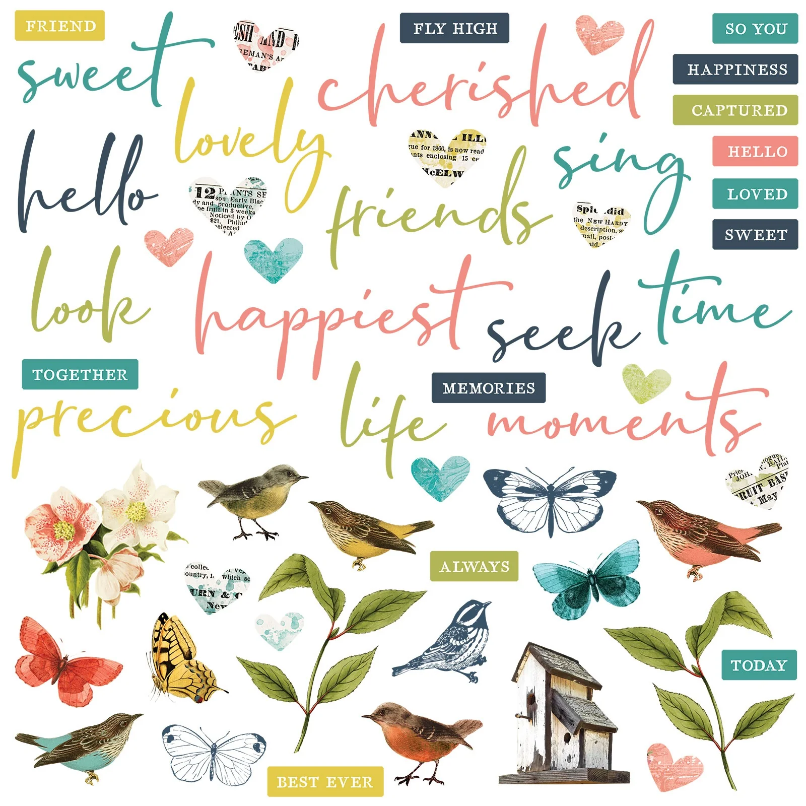 49 And Market Birdsong Chipboard Mixed Set - Image 2