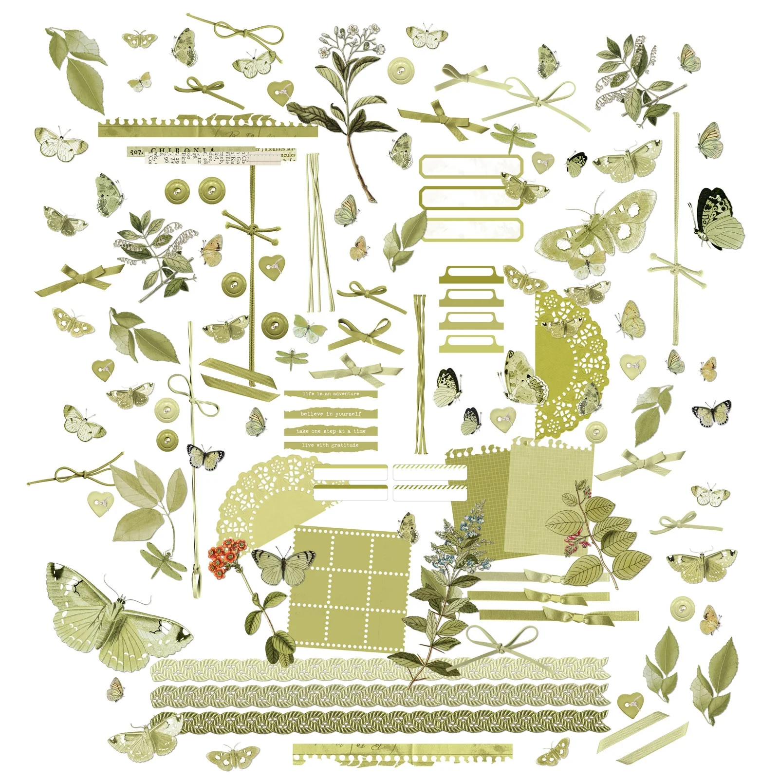 49 And Market Color Swatch: Grove Laser Cut Outs - Elements - Image 2