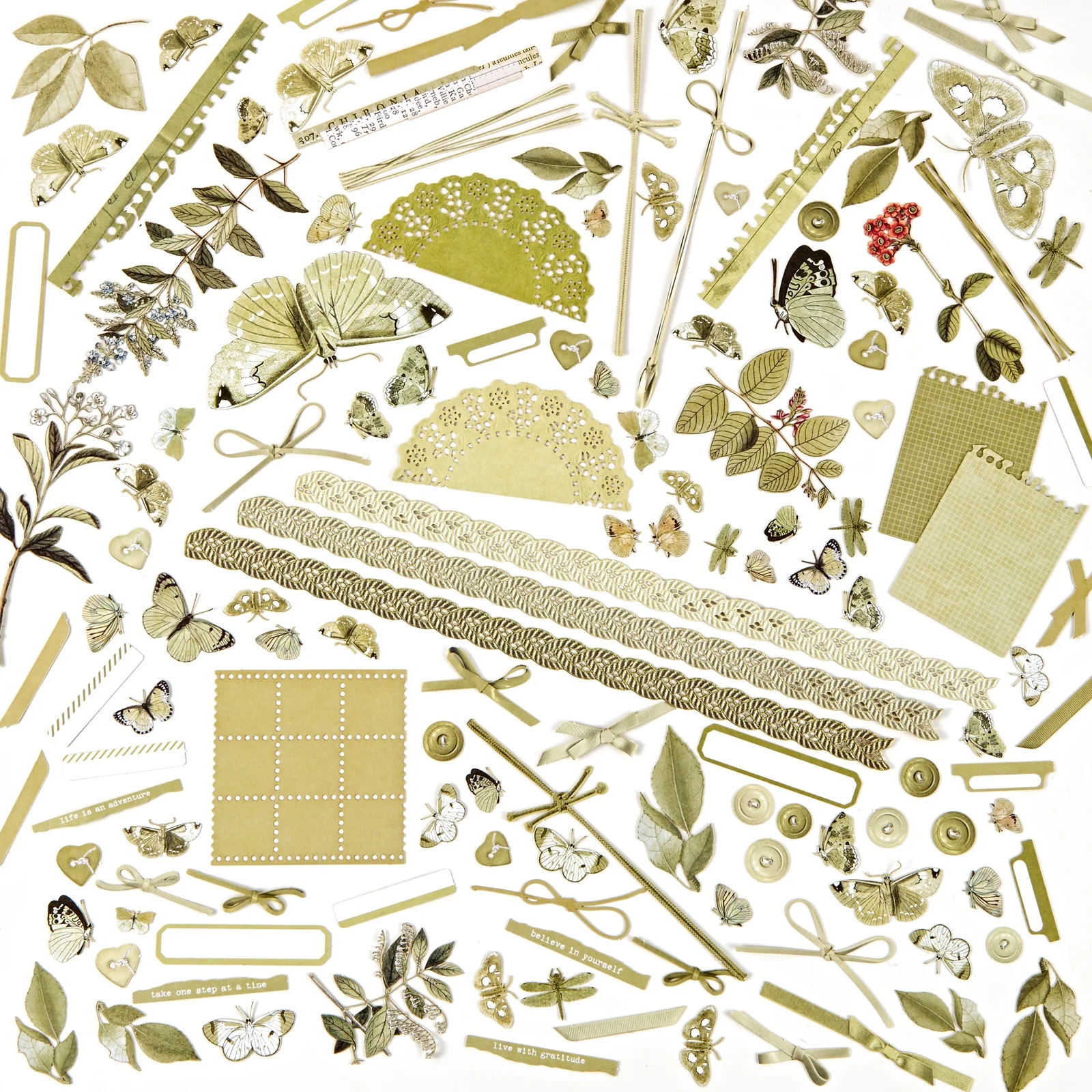 49 And Market Color Swatch: Grove Laser Cut Outs - Elements - Image 3
