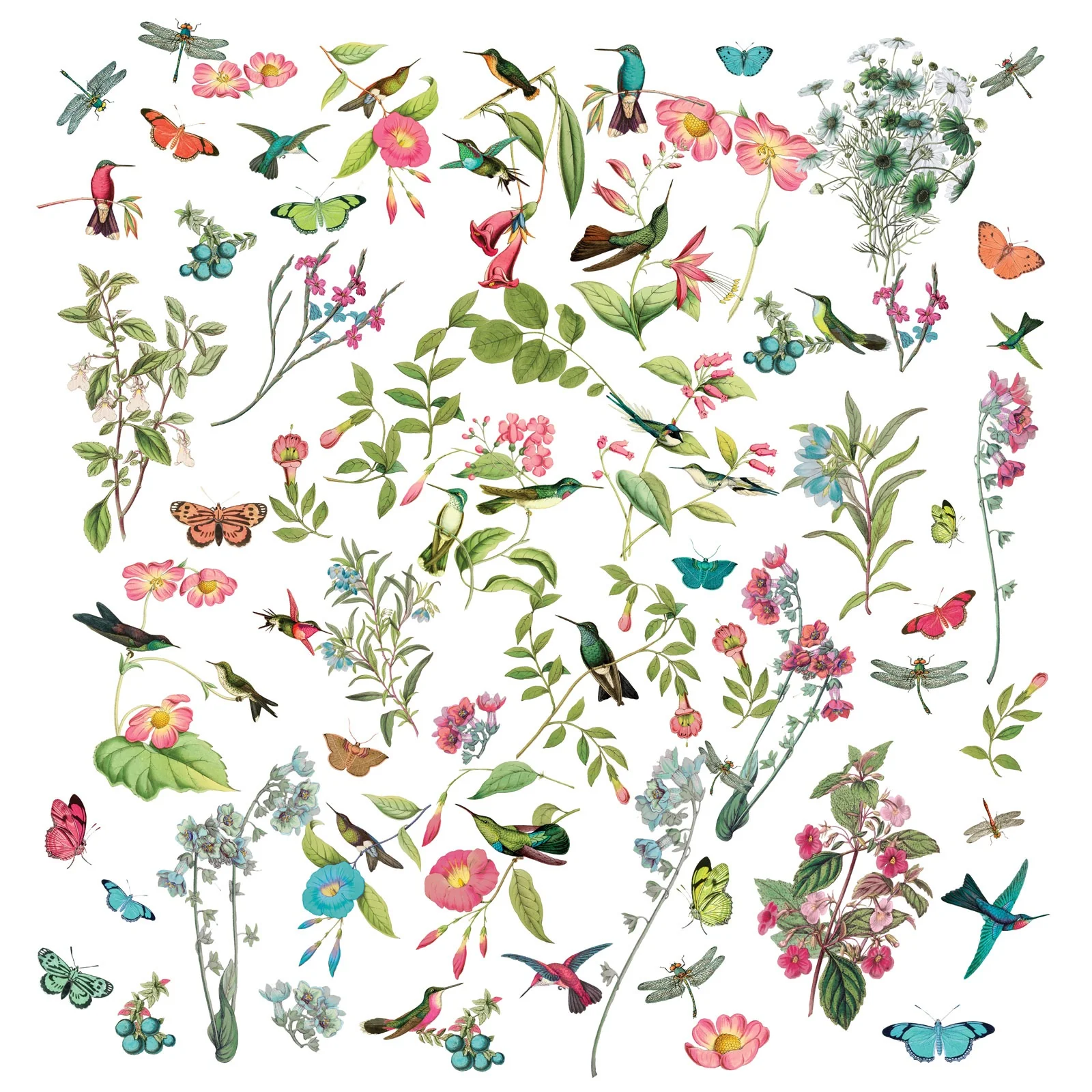 49 And Market Nature's Kaleidoscope Collection - Image 5