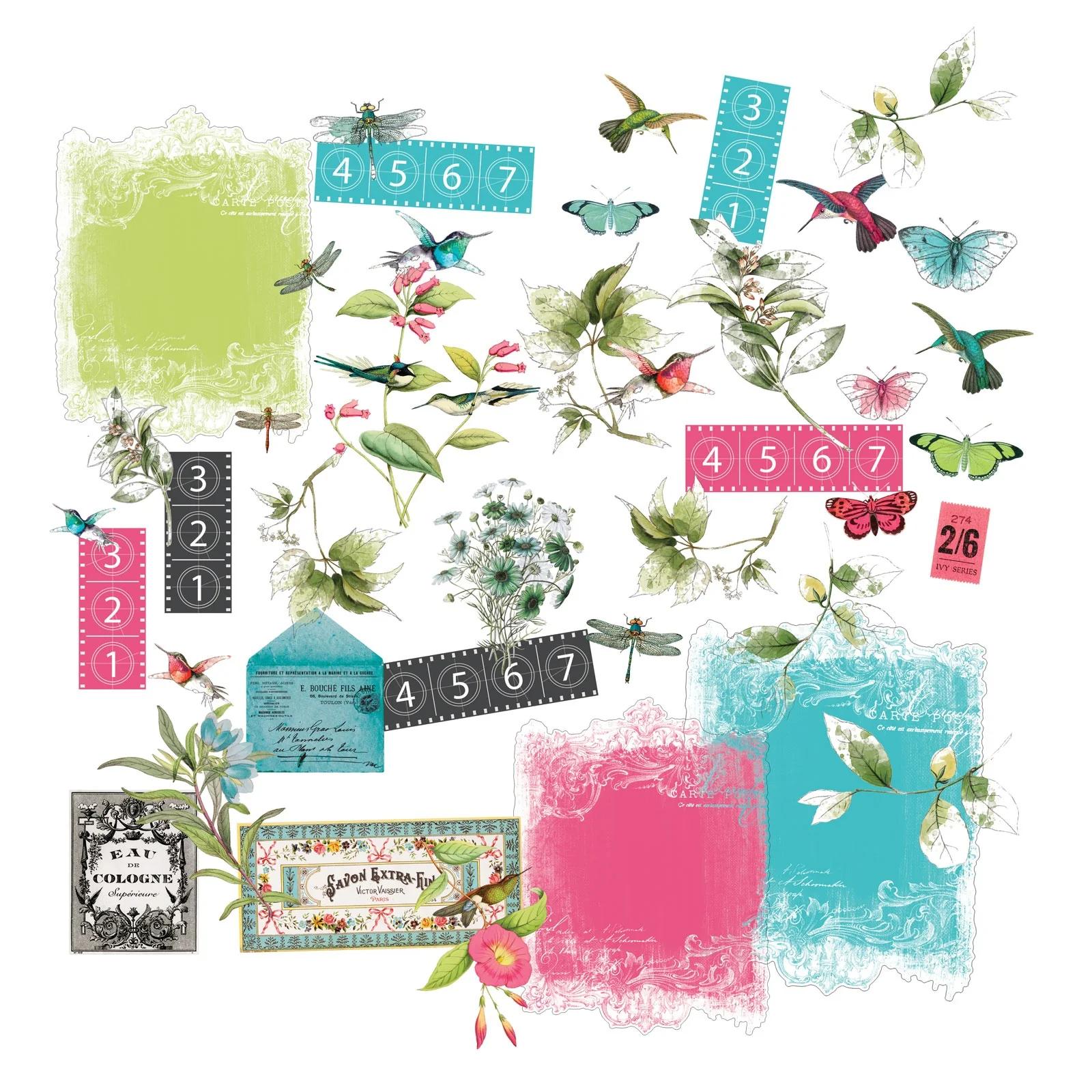 49 And Market Nature's Kaleidoscope Collection - Image 7