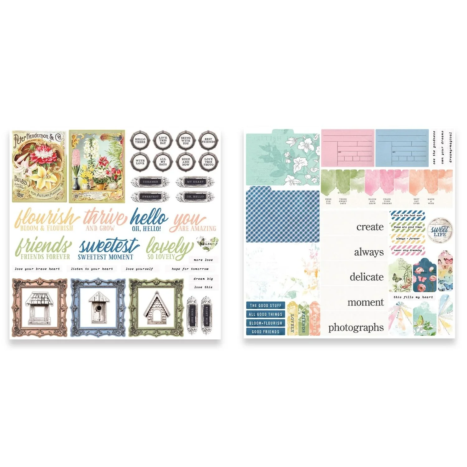 Arden Creative Studio Field Notes Ephemera Pack - Image 2