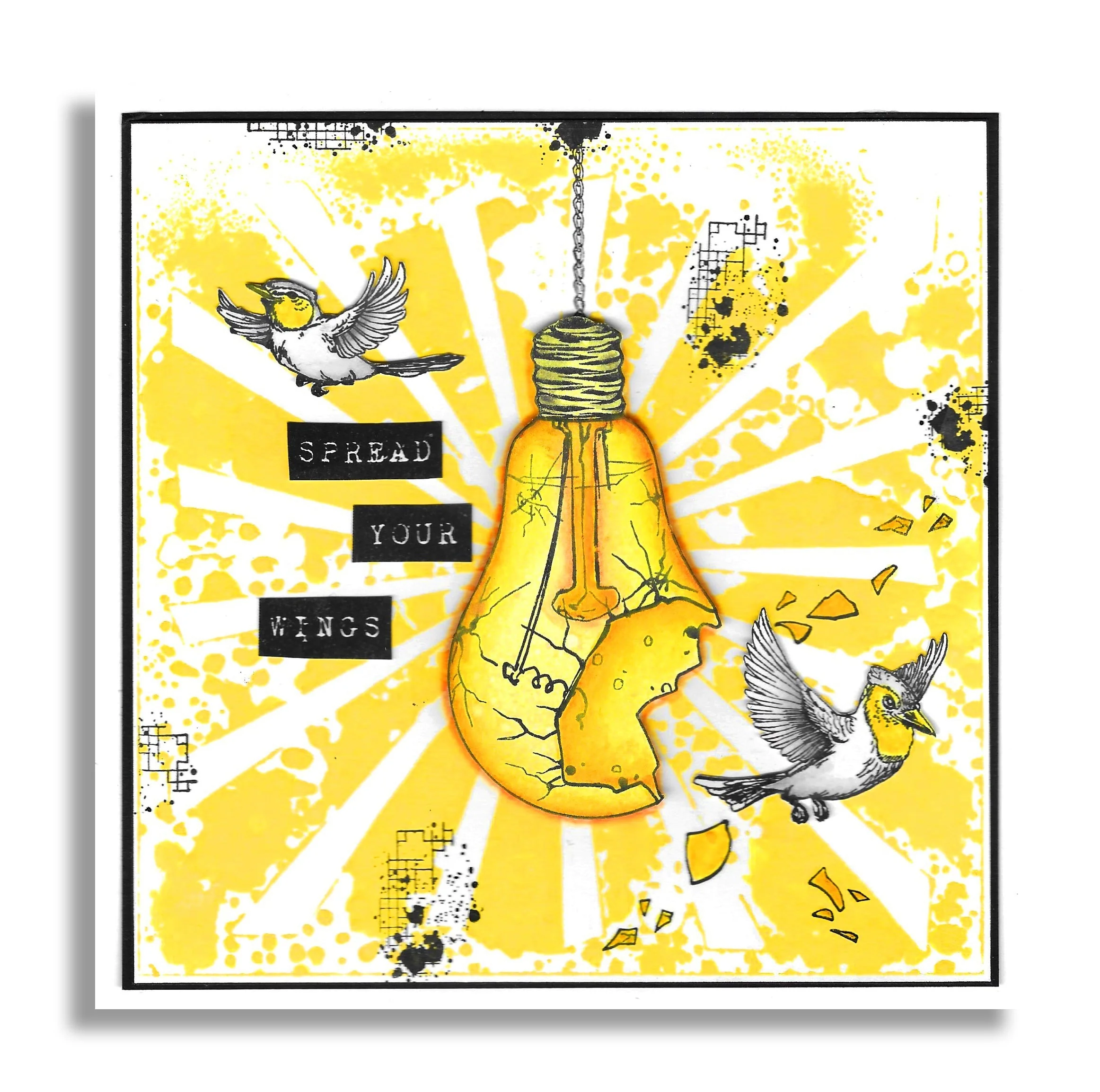 Breakthrough Botanicals Collection - Image 37