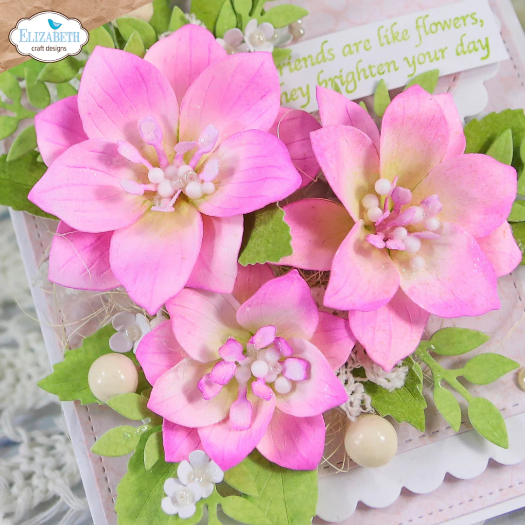 Elizabeth Craft Designs Beautiful Blooms Die Lenten Rose - Image 10