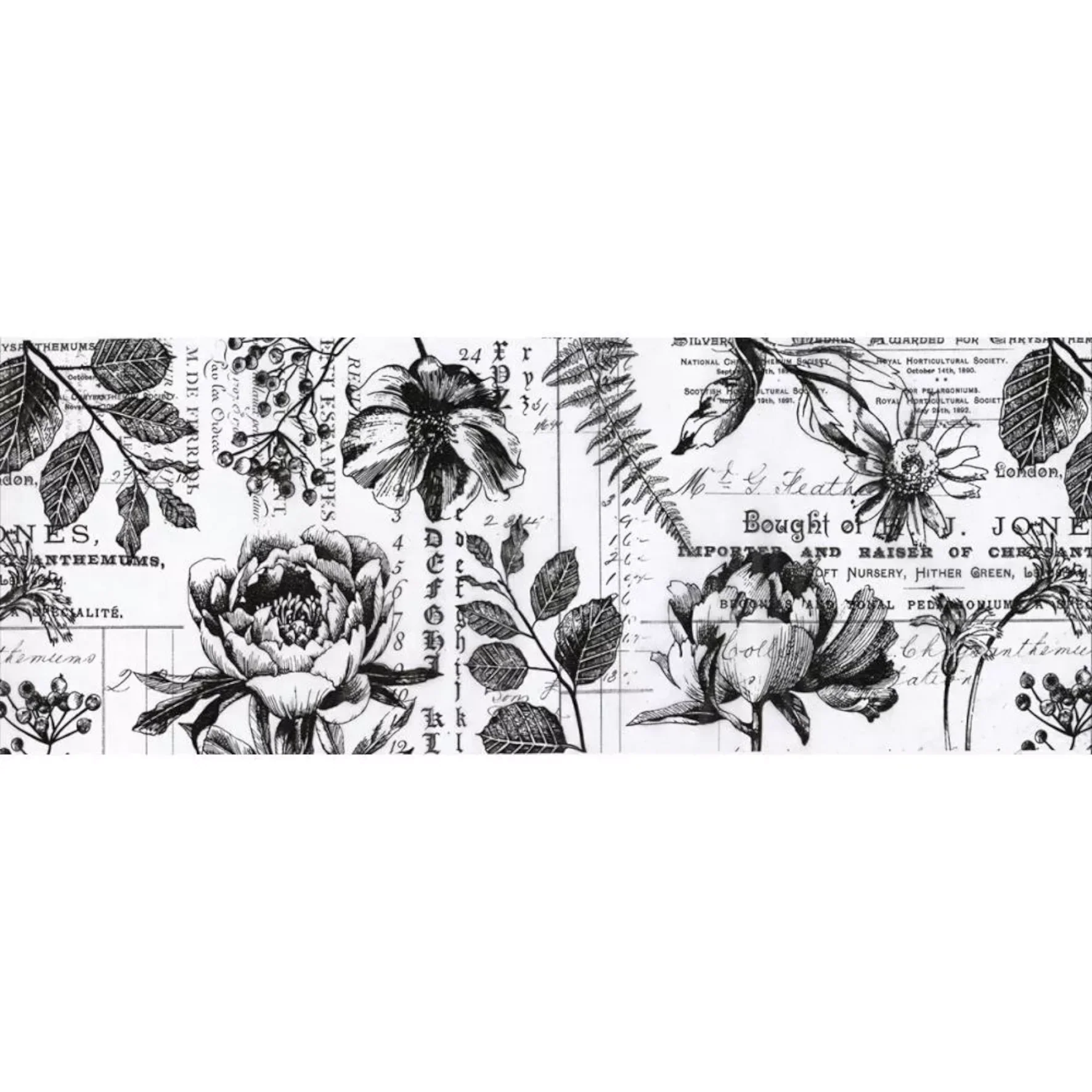 Idea-ology Tim Holtz Collage Paper 6"x6yds Botanical - Image 2