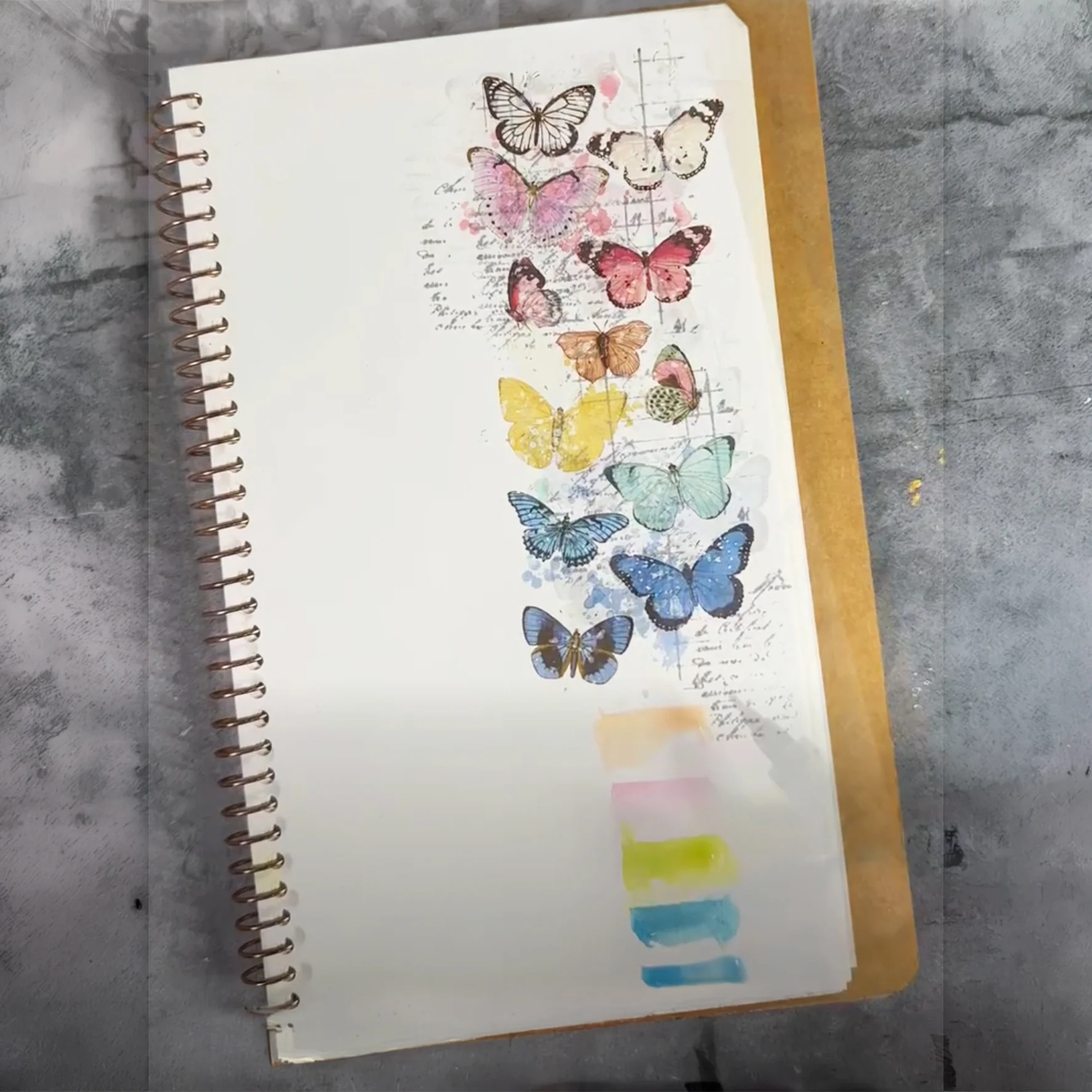 Lindy's Gang Katie Pertiet's Field Notes Magical Shaker 2.0 SET - Image 3