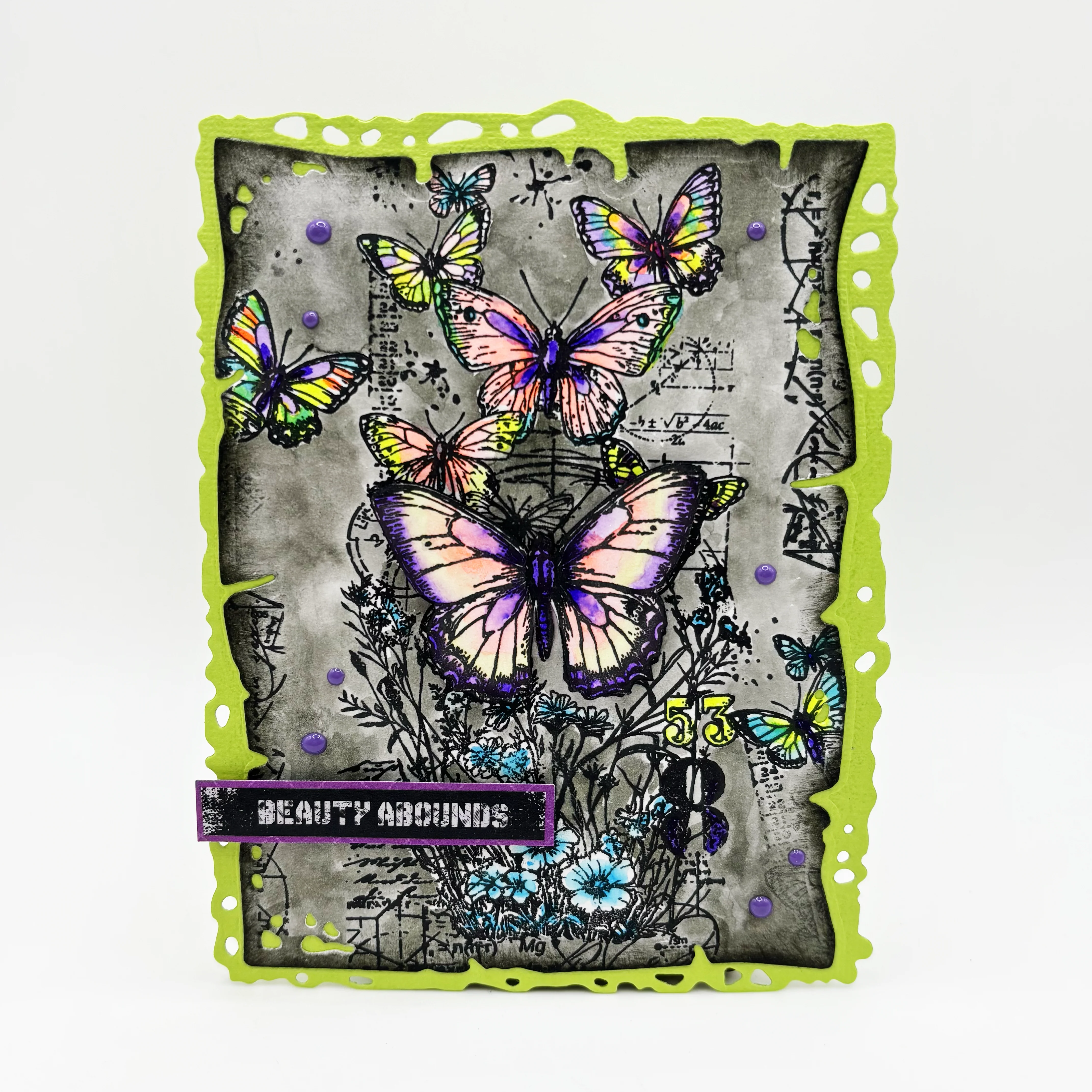 Nature's Impressions Complete Bundle - Image 120