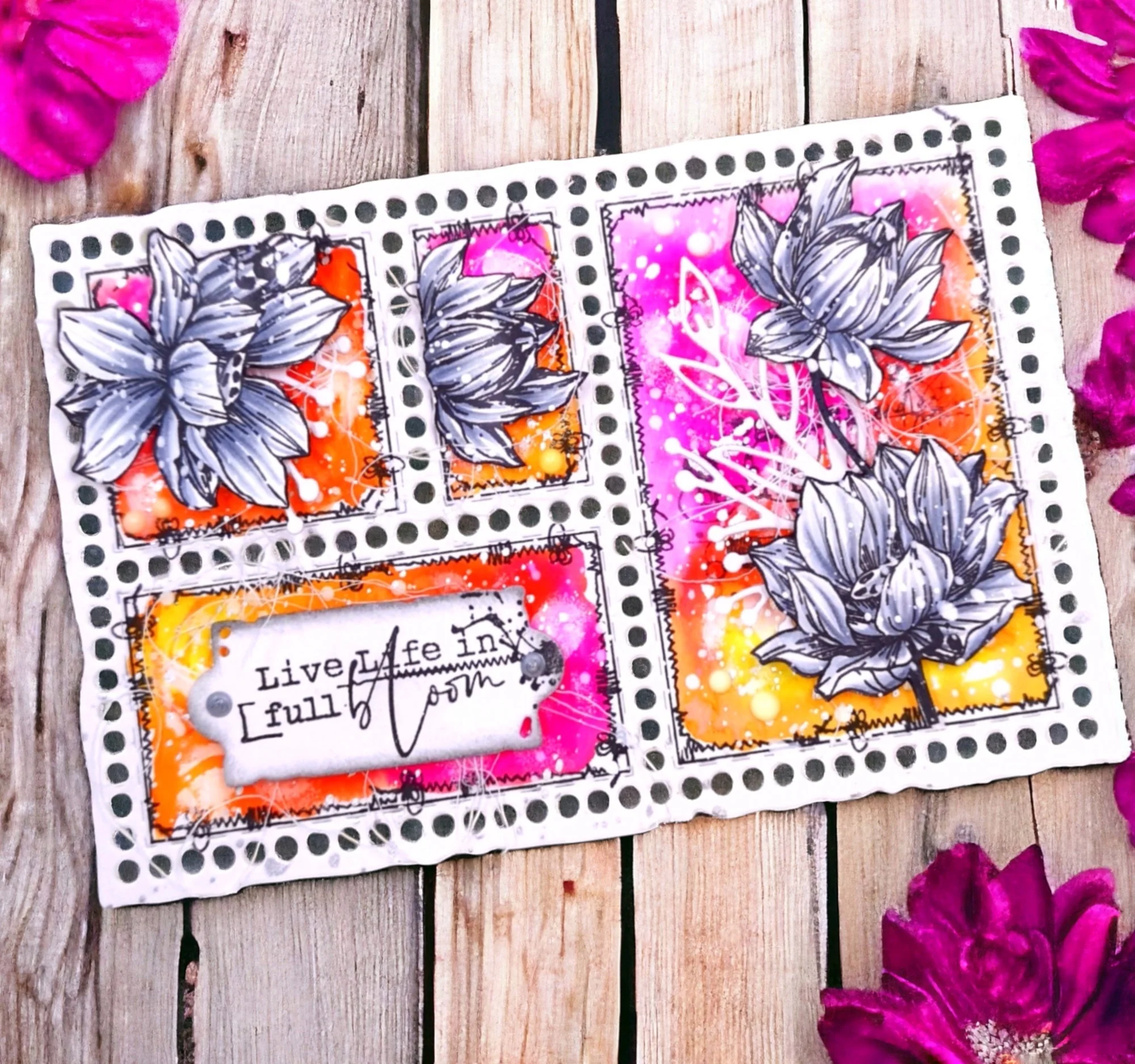 Nature's Impressions Complete Bundle - Image 37
