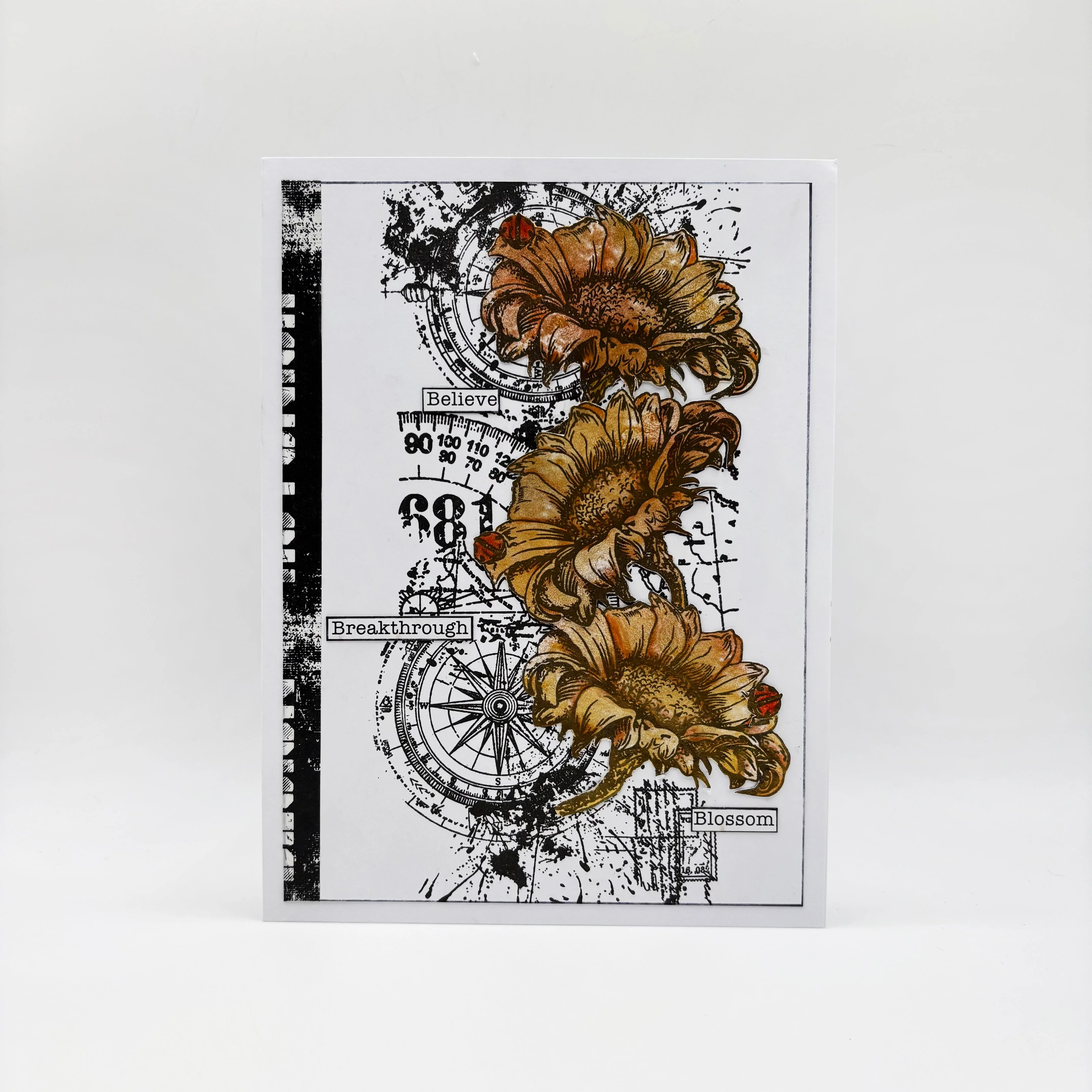 Nature's Impressions Complete Bundle - Image 48