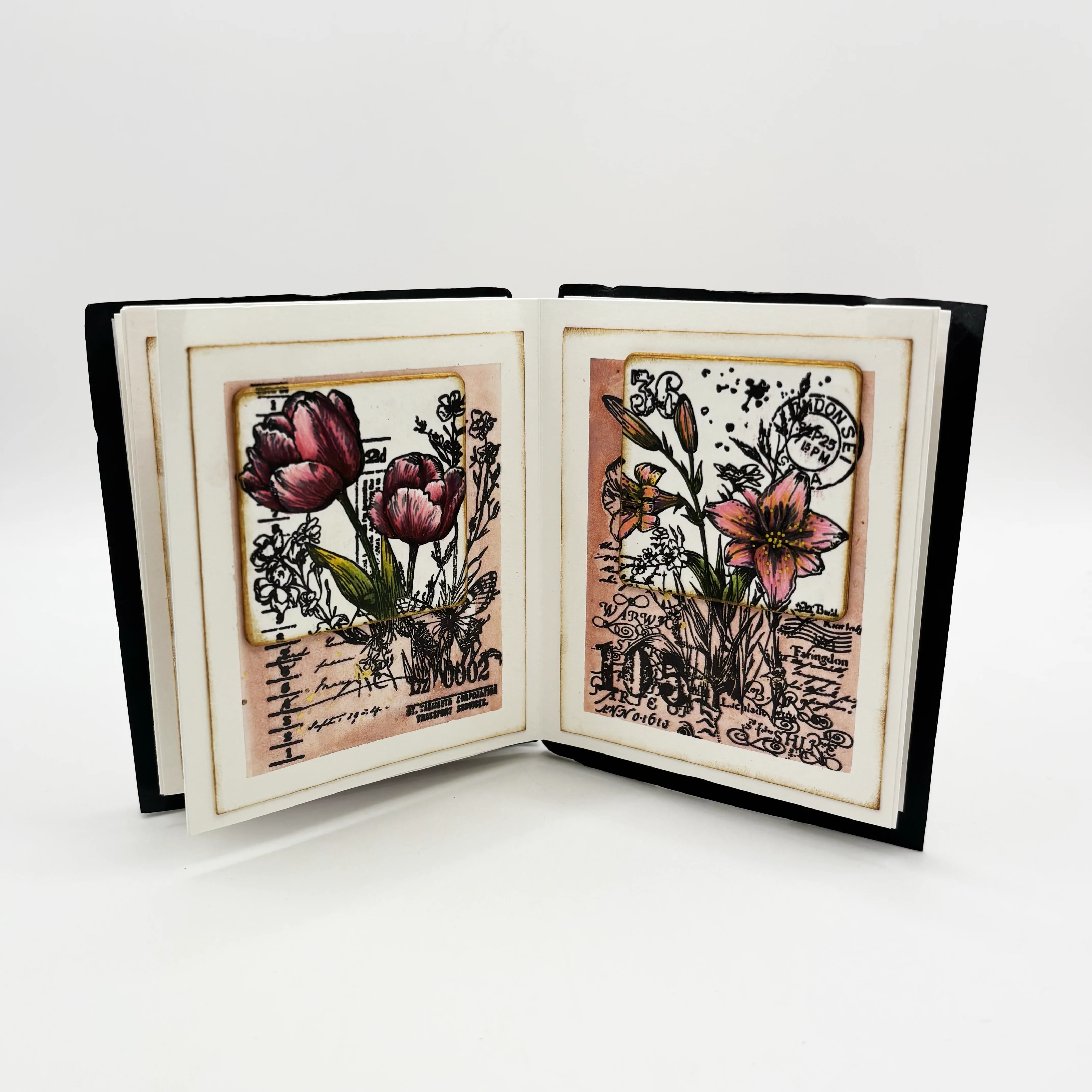 Nature's Impressions Complete Bundle - Image 77