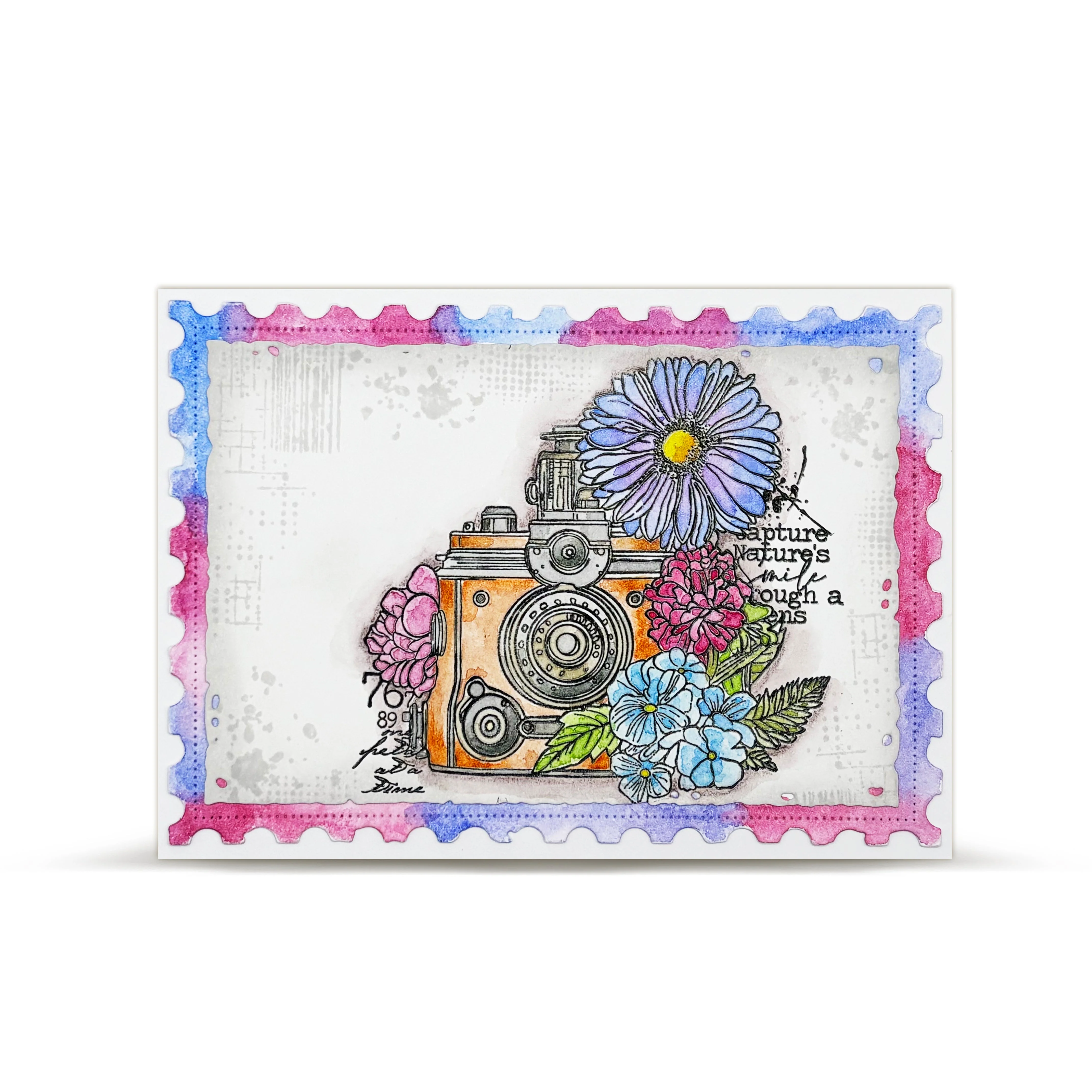 Snippets & Snapshots Die Bundle - Image 19
